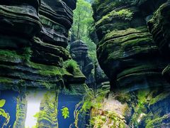 -梭布垭石林景区