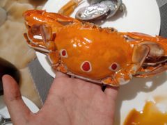 -安蒂娅·海鲜自助餐厅(安蒂娅美兰酒店)