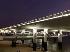 -演武大桥观景平台