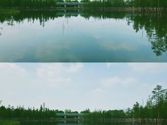 -白鹭湾湿地公园