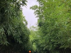 -关林