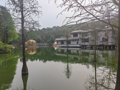 -广州市白云山风景名胜区