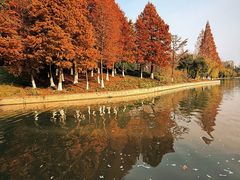 -池州市平天湖风景区