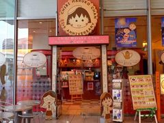 -台场海滨公园船码头