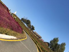 -北纬44度·金珠花海休闲农业旅游景区