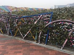 -琴岛之星摩天轮
