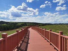 -塞罕坝国家级自然保护区