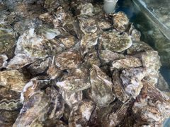 -东来菜馆•手抓海鲜家常菜•海鲜锅贴(鸽子窝店)