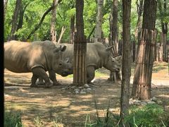 -北京野生动物园