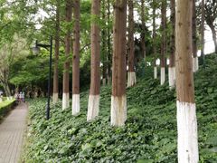 -瀛洲公园
