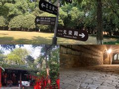 -灵谷景区
