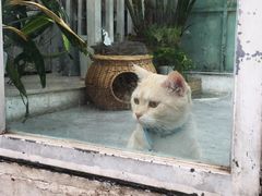 -小时光咖啡馆(北锣鼓巷店)