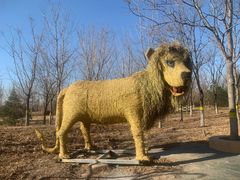 -永定河休闲森林公园