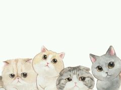 -老三院粉店(三医院店)