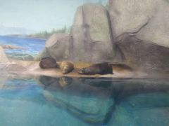 -福州罗源湾海洋世界旅游区