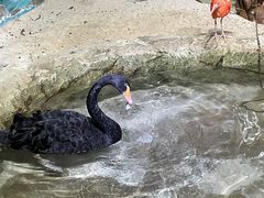 -海合安武汉极地海洋公园