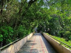 -燕晗山郊野公园