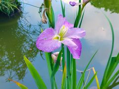-深圳市中科院仙湖植物园