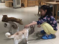 -藏猫猫咖啡主题馆(中央大道店)