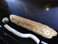 -贝壳梦幻世界