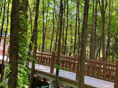 -溱湖国家湿地公园