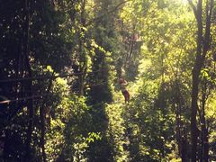 -清迈丛林飞跃 JungleFlight