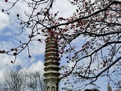 -南普陀寺