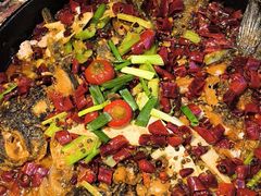 -老板恋上鱼(高新万达店)