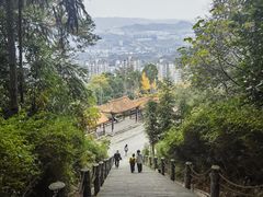 -铁山坪森林公园