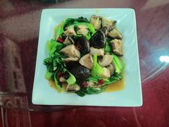 -照金特色农家乐
