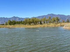 -野鸭湖国家湿地公园