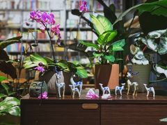 -谷咖啡·鲜花绿植花园餐厅