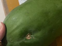 -西双版纳集贸市场