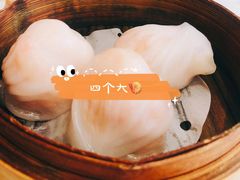 -上海虹桥君丽假日酒店(娄山关路地铁站店)