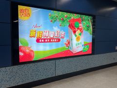 -新码头街九龙城渡轮码头(轮渡站)