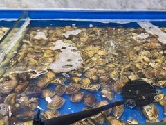 -川骄海鲜自助(河东店)
