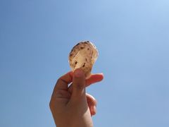 -燕窝岭