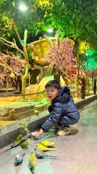 -酷嗒动物文化乐园(cutezoo西溪乐天城店)