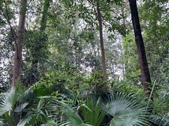 -成都市活水公园