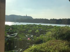 -湖畔居茶楼(湖滨店)