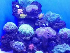 -多彩贵州城极地海洋世界