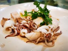 白灼鮮魷-奇香海鲜酒楼