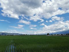 -喜林苑·稻田餐厅(品相府店)