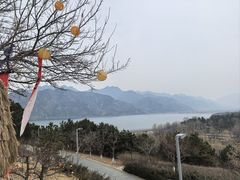 -北京中信金陵酒店