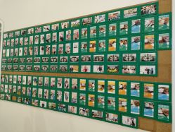 -青苗儿童口腔(长楹天街购物中心)