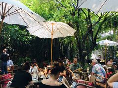 -Fern Forest Cafe