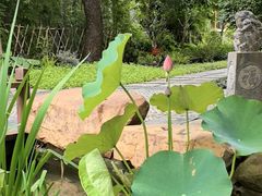 -花锦堂·隐庐
