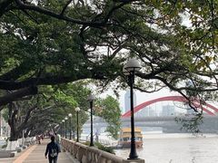 -珠江夜游省总码头