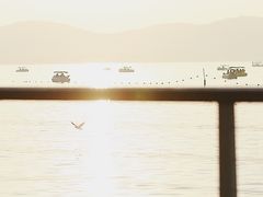 -蠡湖大桥公园