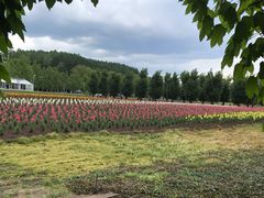 -富田农场